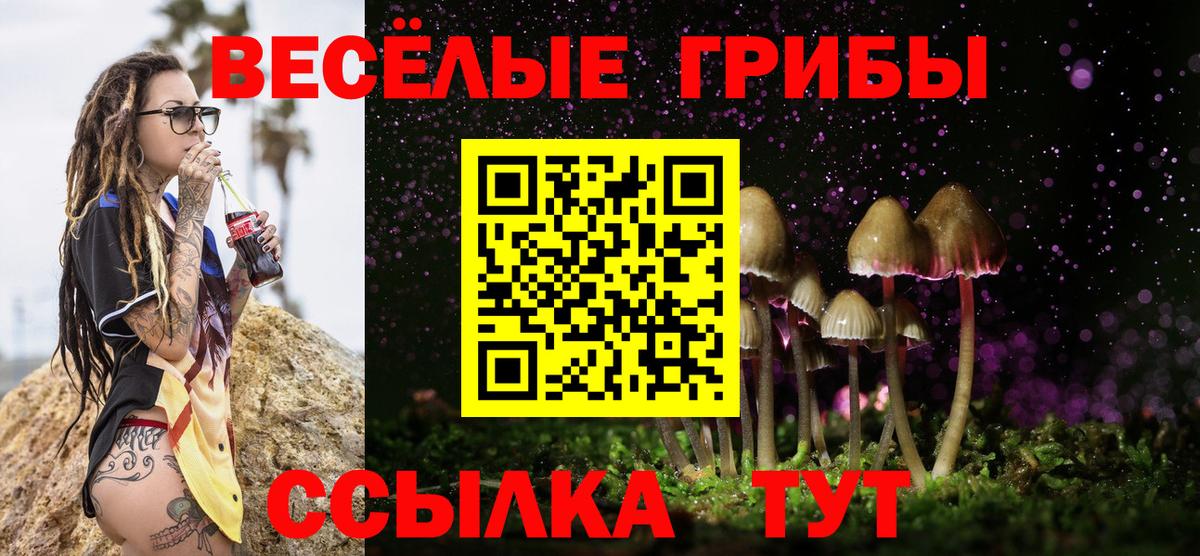 Псилоцибиновые грибы мухоморы Каменка