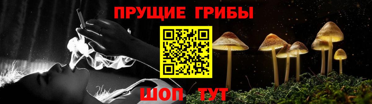 Каменка  Галлюциногенные грибы ЛСД  Вход с VPN 